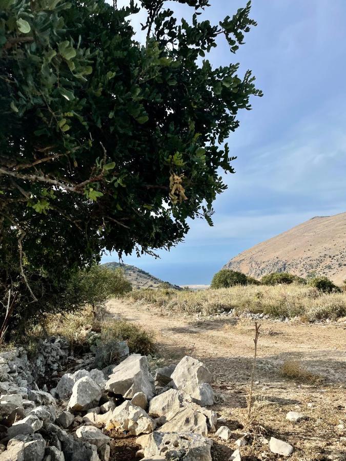 Conte125 Villa Cinisi Eksteriør bilde